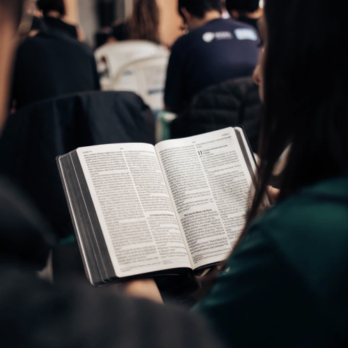 Screenshot 2025-01-15 at 11.44.42