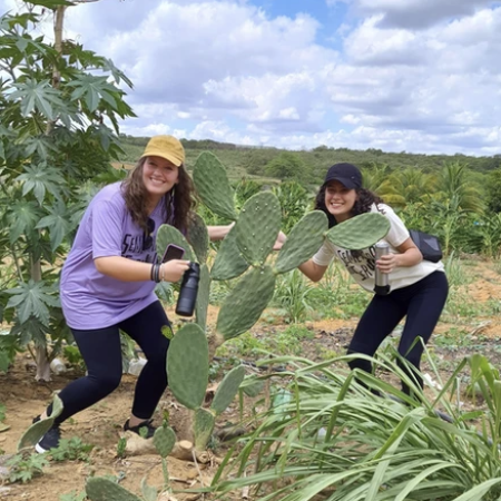 Screenshot 2025-01-15 at 13.25.34