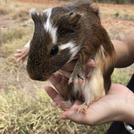 Screenshot 2025-01-15 at 13.25.58